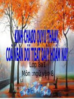 Bài 31. Ôn tập và kiểm tra phần Tiếng Việt (HK II)