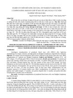 Nghiên cứu đánh giá kết quả sớm điều trị ghép tế bào gốc tự thân ở bệnh nhân u lym phô không Hodgkin