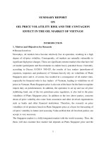 RỦI RO BIẾN ĐỘNG GIÁ và HIỆU ỨNG lây LAN TRÊN THỊ TRƯỜNG XĂNG dầu VIỆT NAM (tt) 