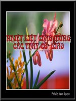 Bài 25. Viết đoạn văn trình bày luận điểm