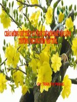 Bài 19. Câu nghi vấn (tiếp theo)