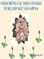 Bài 12. Tổng kết về từ vựng (Luyện tập tổng hợp)