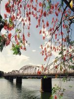 Bài 28. Ca Huế trên sông Hương