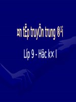 Bài 10. Kiểm tra về truyện trung đại
