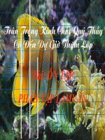 Bài 31. Ôn tập phần Tập làm văn