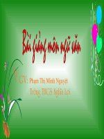 Bài 13. Đề văn thuyết minh và cách làm bài văn thuyết minh