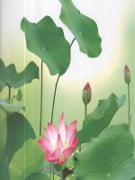 Bài 23. Viếng lăng Bác