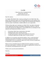 Mẫu đơn xin việc bằng Tiếng Anh ngành GIAO DỊCH VIÊN NGÂN HÀNG