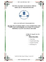 Tiểu Luận Hoạch Định Chiến Lược Marketing Cho Café Cao Cấp Supreme Của Công Ty Cổ Phần Phindeli Tại Mỹ Giai Đoạn 2014-2020