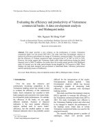 DSpace at VNU: Evaluating the efficiency and productivity of Vietnamese commercial banks: A data envelopment analysis and Malmquist index