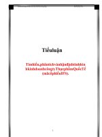 Tiểu Luận Tìm Hiểu, Phân Tích Và Nhận Định Tình Hình Kinh Doanh Công Ty Thực Phẩm Quốc Tế (Mã Cổ Phiếu Ifs)