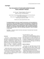 DSpace at VNU: Four new species of Kockovaella isolated from plant leaves collected in Vietnam