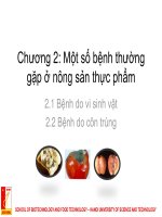 Một số bệnh thường gặp ở nông sản thực phẩm