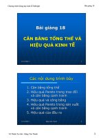 Bài giảng 18. Cân bằng tổng thể và hiệu quả kinh tế