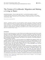 The Texture of Livelihoods Migration and Making a Living in Hanoi