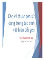 Các kỹ thuật gen sử dung trong tao sinh vật biến đổi gen
