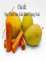 Chủ đề:  Quy Trình Sản Xuất Bánh Tráng Xoài