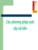 Các phương pháp nuôi cấy cải tiến