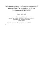 DSpace at VNU: Solutions to improve credit risk management of Vietnam Bank for Agriculture and Rural Development (AGRIBANK)