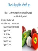 Các phương pháp kiểm định và truy xuất nguồn gốc thực phẩm biến đổi gen GMF