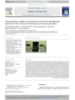 DSpace at VNU: Automated dual capillary electrophoresis system with hydrodynamic injection for the concurrent determination of cations and anions