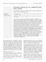 DSpace at VNU: Kineosporia babensis sp. nov., isolated from plant litter in Vietnam