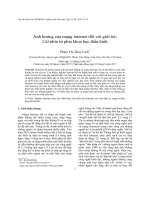 Effects of the Internet on young people. A view from neuroscience