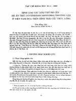 DSpace at VNU: Định loại các loài thú họ cầy - bộ ăn thịt (viverridaecarnivora) thường gặp ở Việt Nam dựa trên hình thái cấu trúc lông