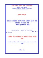 Giải pháp thu hút vốn đầu tư nước ngoài ở tỉnh quảng trị 