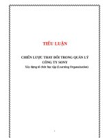 Tiểu LuậnChiến Lược Thay Đổi Trong Quản Lý Công Ty Sony