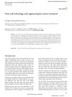 DSpace at VNU: Stem cell technology and engineering for cancer treatment