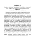 Trung Oral Presentation 7