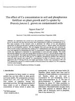 DSpace at VNU: The effect of Cu concentration in soil and phosphorus fertilizer on plant growth and Cu uptake by Brassica juncea L'Grown in contaminated soils
