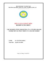 Tiểu luận phân tích ảnh hưởng của văn hóa doanh nghiệp đến sự phát triển của doanh nghiệp