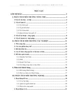 Đề Tài Môi Trường Kinh Doanh Của Doanh Nghiệp Xe Máy Honda Việt Nam