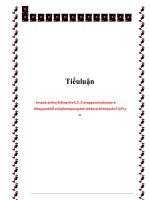 Tiểu Luận So Sánh Các Thuyết Động Viên X, Y, Z Trong Quản Trị Nhân Sự Và Thông Qua Đó Đề Xuất Phương Án Quản Trị Nhân Sự Thích Hợp Cho Việt Nam