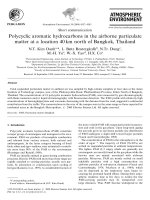 DSpace at VNU: Polycyclic aromatic hydrocarbons in the airborne particulate matter at a location 40 km north of Bangkok, Thailand