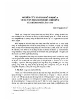 DSpace at VNU: Nghiên cứu so sánh đô thị hóa vùng ven thành phố Hồ Chí Minh và thành phố Cần thơ