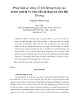 DSpace at VNU: Pháp luật lao động về tiền lương trong các doanh nghiệp và thực tiễn áp dụng tại tỉnh Hải Dương