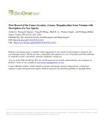 DSpace at VNU: First Record of the Genus Oreolalax (Anura: Megophryidae) from Vietnam with Description of a New Species