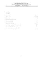 Báo cáo tài chính kiểm toán năm 2010 | Hong Ha Viet Nam 2 - Muc luc