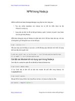 NPM trong Node.js npm trong nodejs