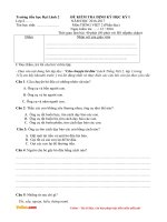 de kiem tra cuoi hoc ki 1 mon tieng viet lop 2 truong TH dai lanh 2 khanh hoa nam 2016