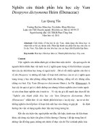 DSpace at VNU: Nghiên cứu thành phần hóa học cây Vam Diospyros dictyonema Heirn (Ebenaceae)