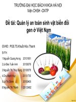 Tiểu luận Quản lý an toàn sinh vật biến đổi gen ở Việt Nam