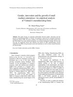 DSpace at VNU: Gender, innovation and the growth of small medium enterprises: An empirical analysis of Vietnam’s manufacturing firms