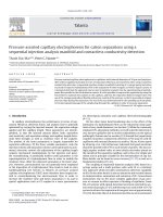DSpace at VNU: Pressure-assisted capillary electrophoresis for cation separations using a sequential injection analysis manifold and contactless conductivity detection