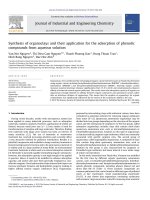 DSpace at VNU: Synthesis of organoclays and their application for the adsorption of phenolic compouds from aqueous solution