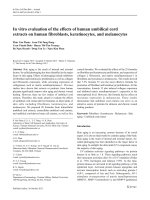 DSpace at VNU: In vitro evaluation of the effects of human umbilical cord extracts on human fibroblasts, keratinocytes, and melanocytes