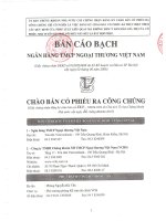 Bản cáo bạch chào bán cổ phiếu ra công chúng